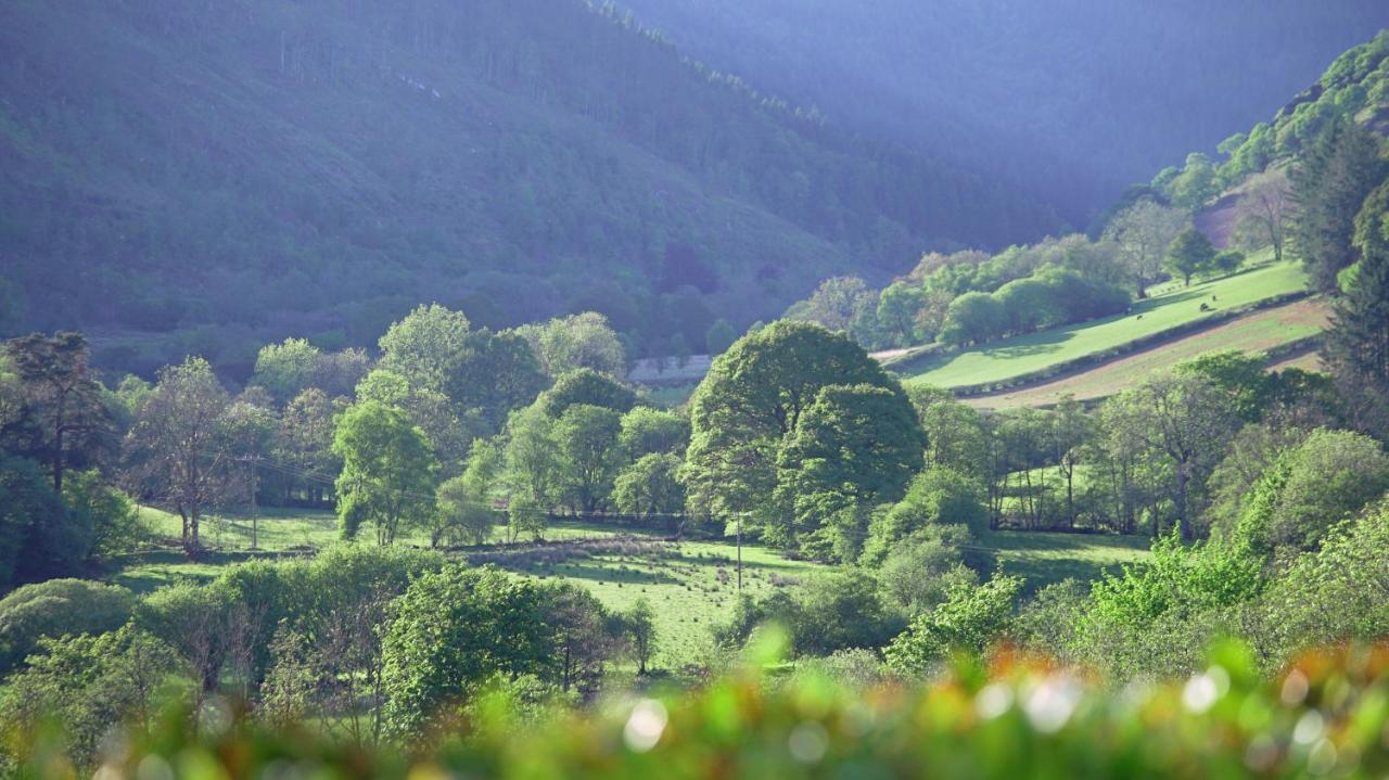 Kilsby Cottage Llanwrtyd Wells ภายนอก รูปภาพ
